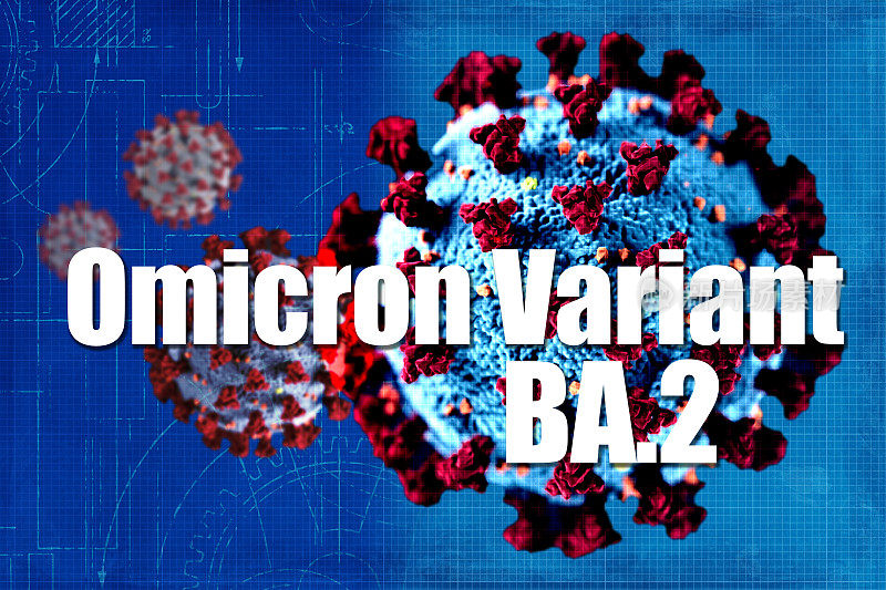 BA.2 Omicron Variant Covid-19突变概念比较。